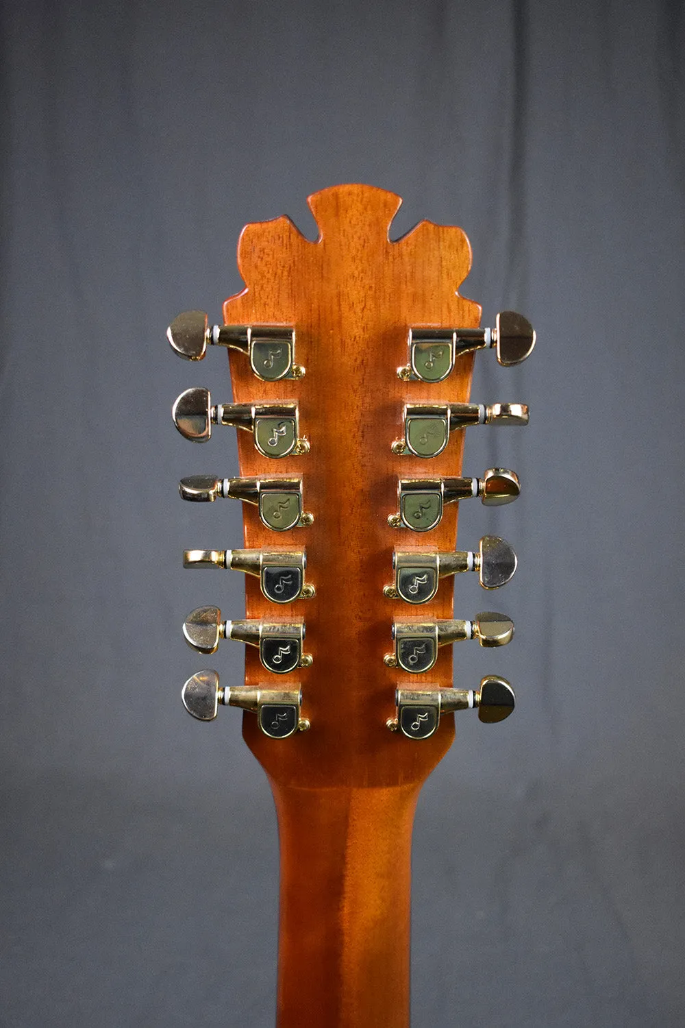 2011 Bozo Bell Western B-75 12-String