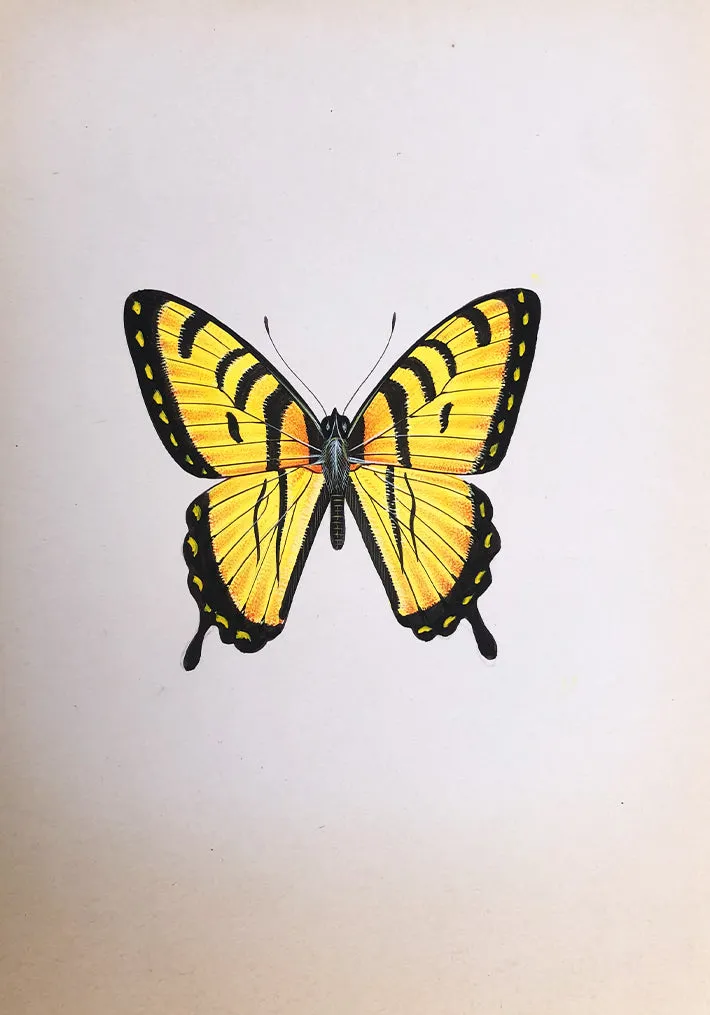 A Bright Butterfly in Miniature Painting by Mohan Prajapati