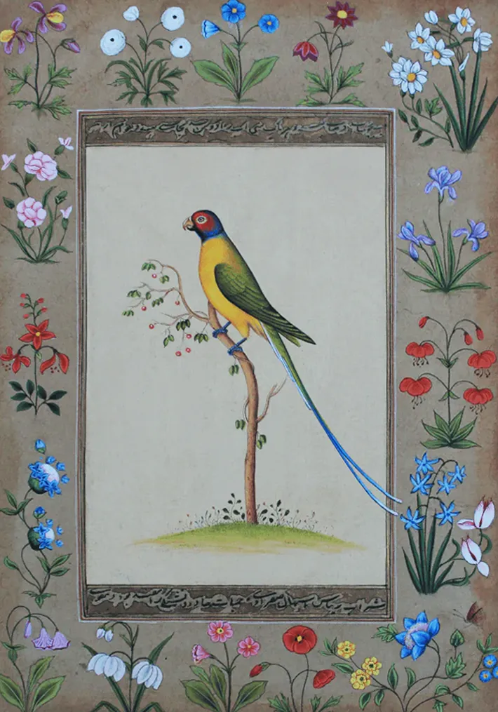 A Colorful Parrot in Miniature Painting by Mohan Prajapati