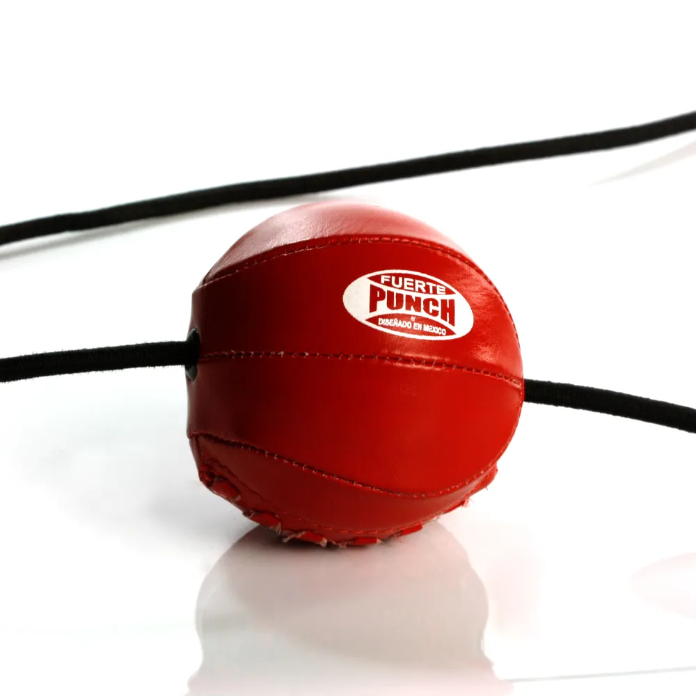 AAA Punch Floor to Ceiling Ball Kit