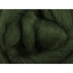 Ashford Solid Colored Corriedale Sliver - 2.2lb bag - Fern Green