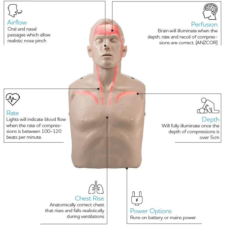 Brayden CPR Manikin Dummy Pulse With Lights/Bloodflow Adult Size