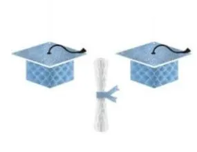 School Colors Pride Graduation Cap & Diploma Honeycomb Hanging Decorations - Powder Blue