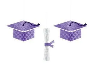 School Colors Pride Graduation Cap & Diploma Honeycomb Hanging Decorations - Purple