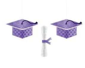 School Colors Pride Graduation Cap & Diploma Honeycomb Hanging Decorations - Purple