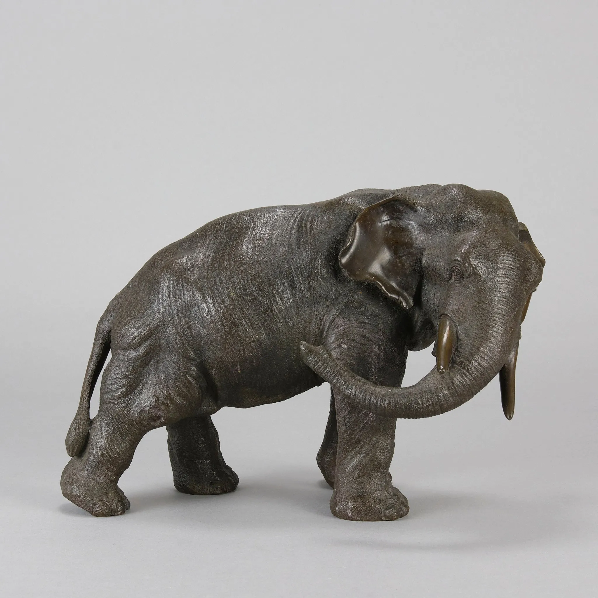 Tokyo School "Elephant with Head Turned"