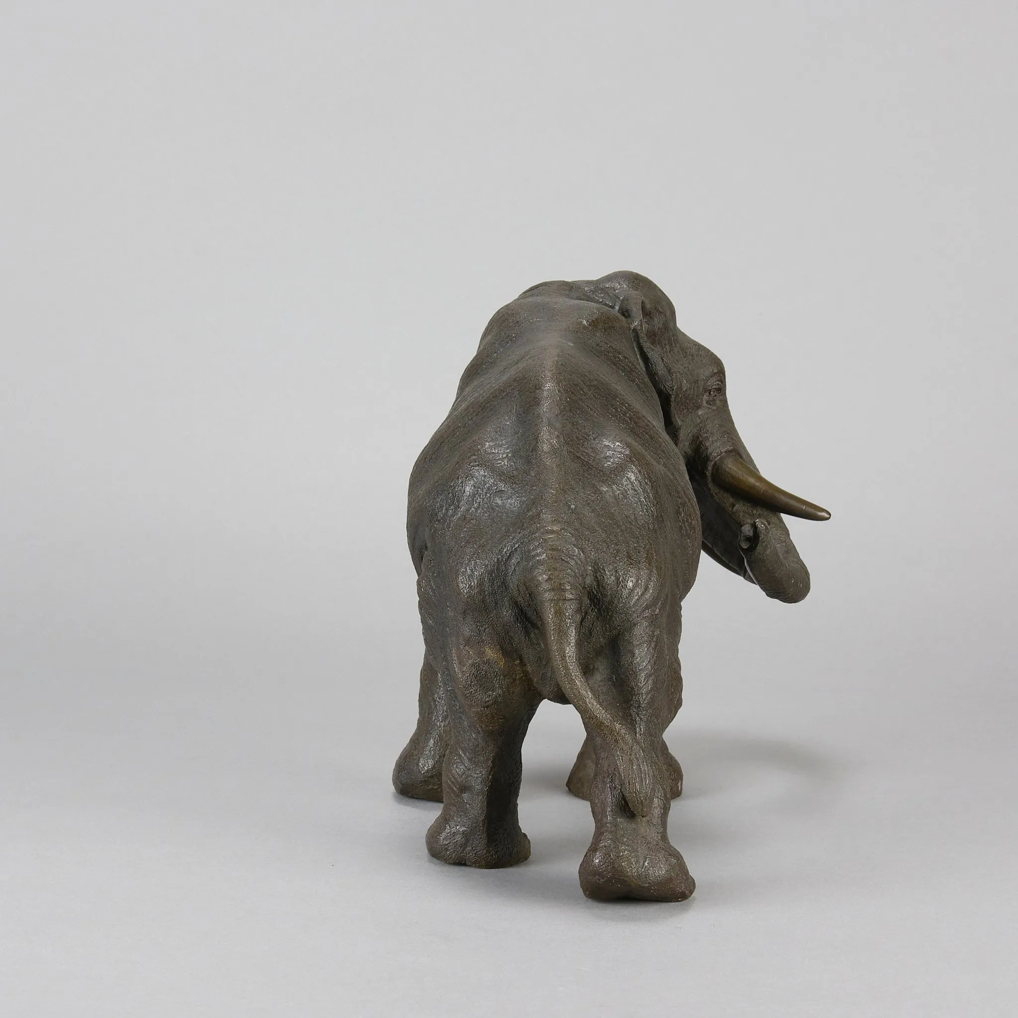 Tokyo School "Elephant with Head Turned"