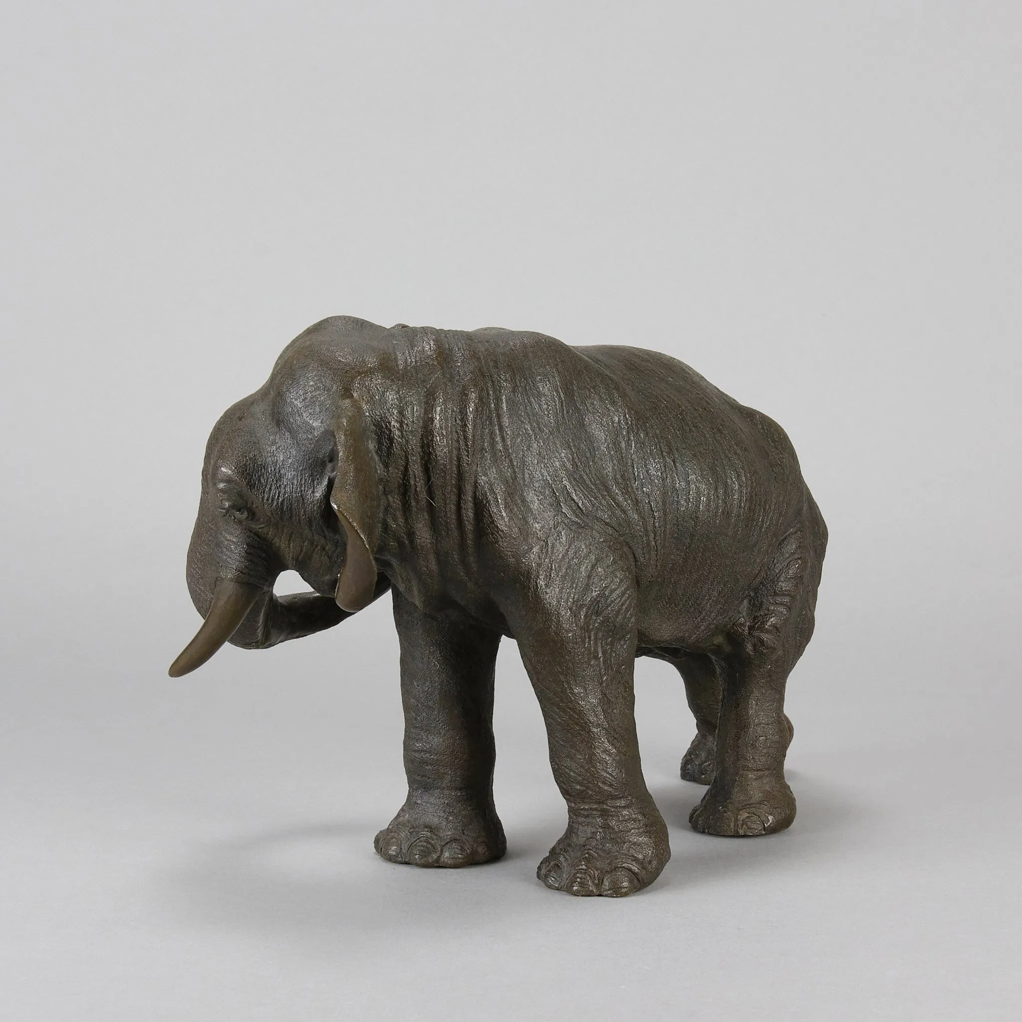 Tokyo School "Elephant with Head Turned"