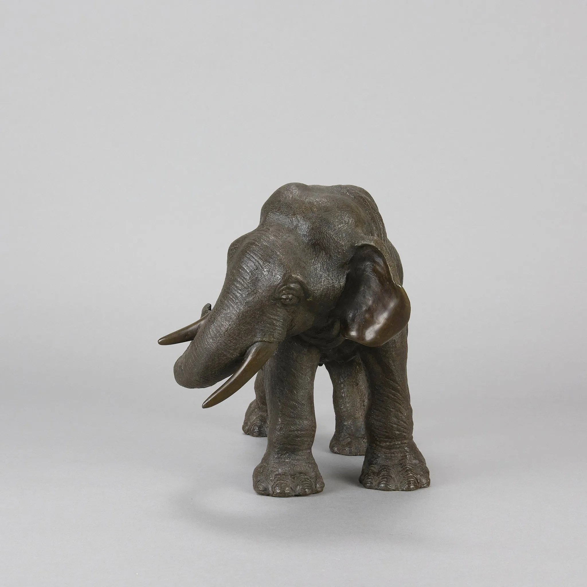 Tokyo School "Elephant with Head Turned"