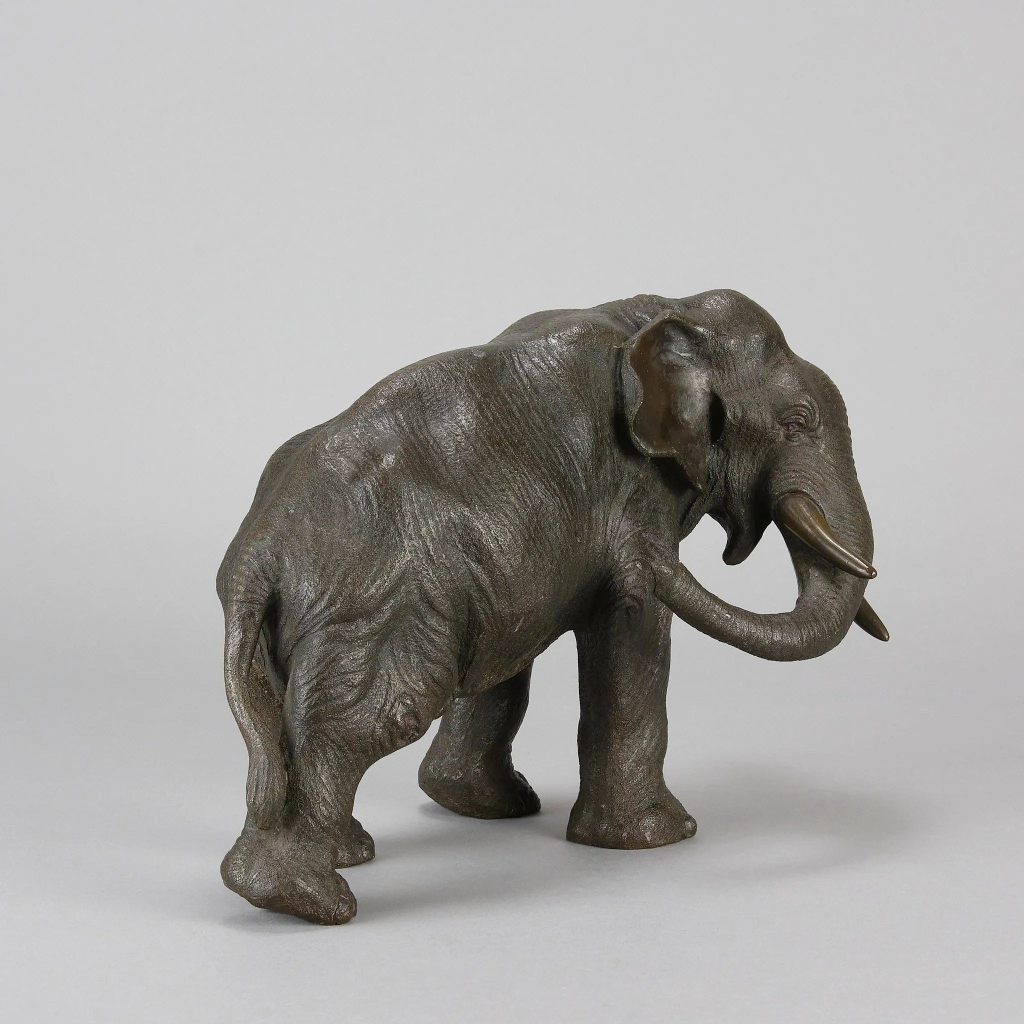 Tokyo School "Elephant with Head Turned"