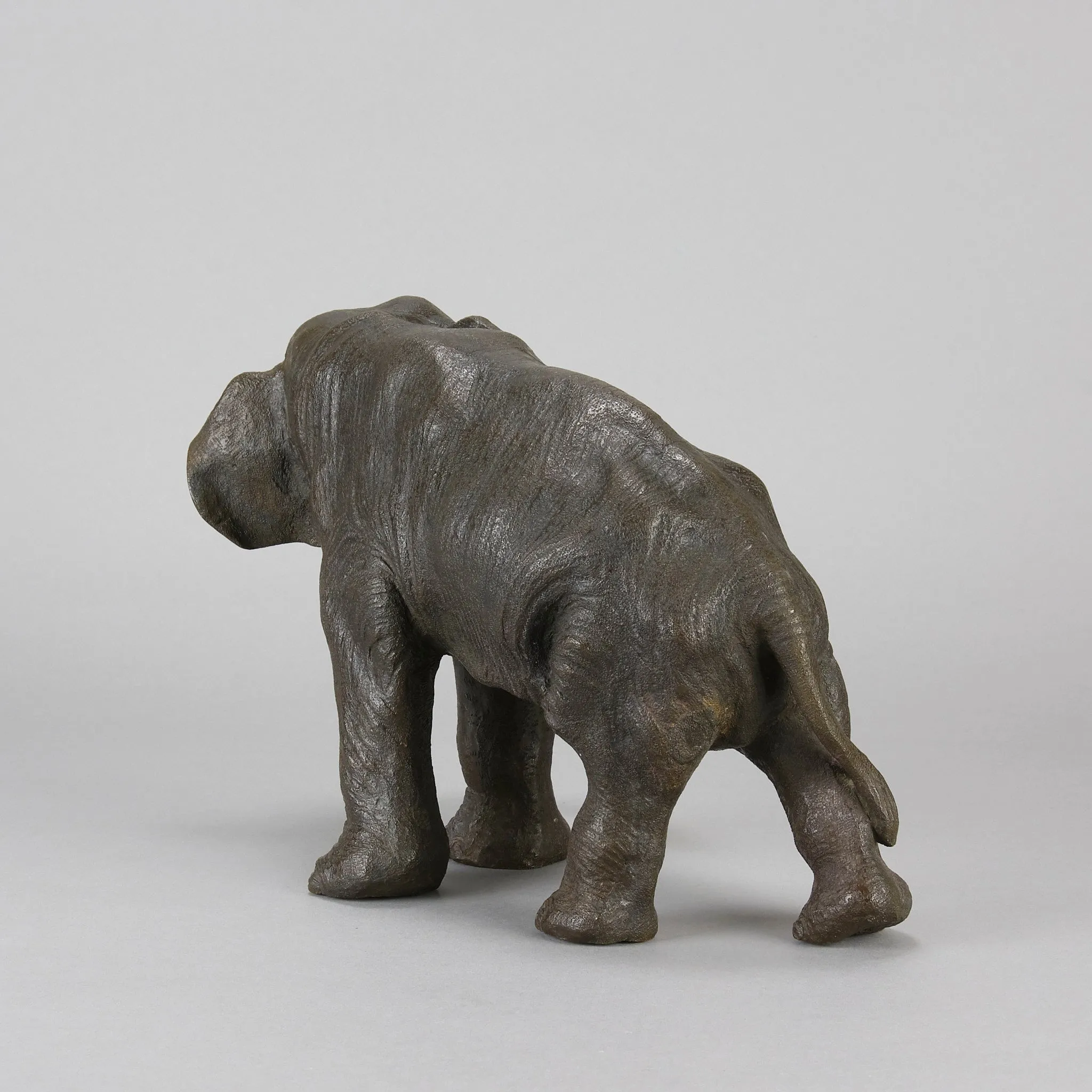 Tokyo School "Elephant with Head Turned"