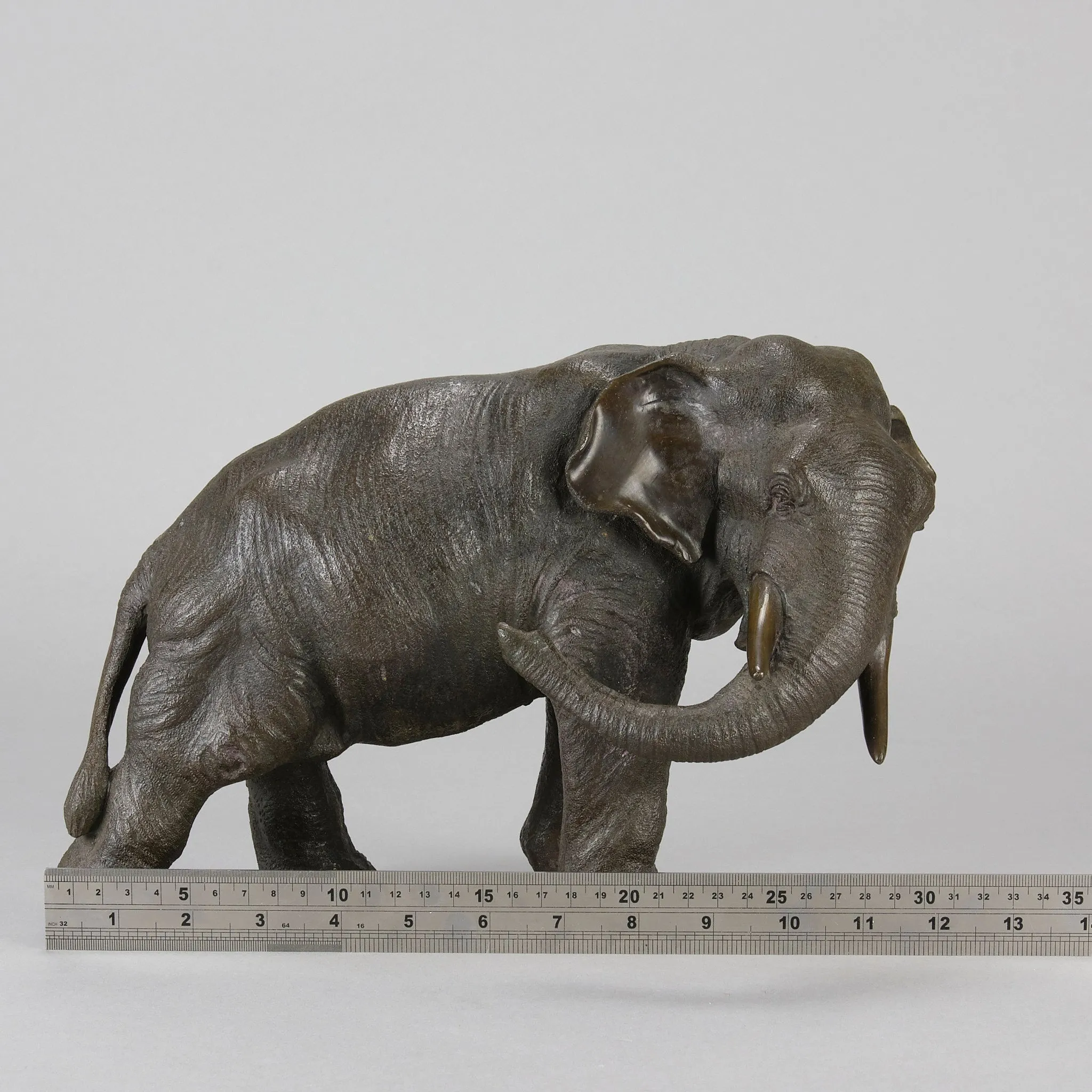 Tokyo School "Elephant with Head Turned"